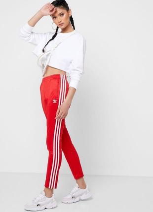 Жіночі спортивні штани adidas originals1 фото