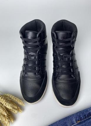 Демісезонні кросівки adidas hoops3 фото