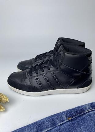 Демісезонні кросівки adidas hoops2 фото