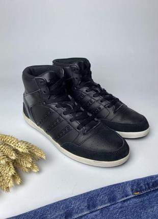Демісезонні кросівки adidas hoops4 фото