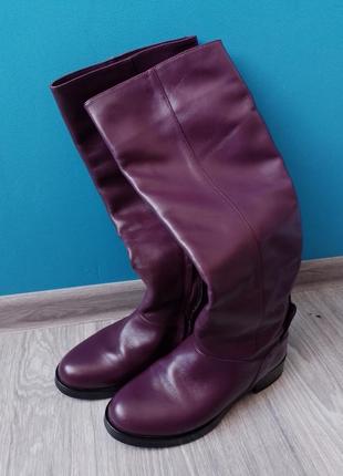 Демисезонные высокие сапоги, обувь фиолетовая1 фото
