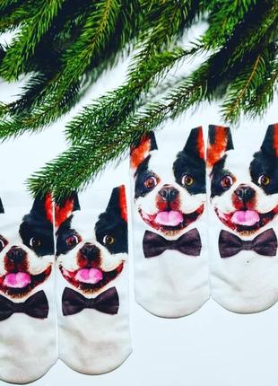Шкарпетки шкарпетки собачки