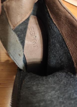 Стильні жіночі демі ботинки ботильйони шкіряні на підборах, р.37/24см