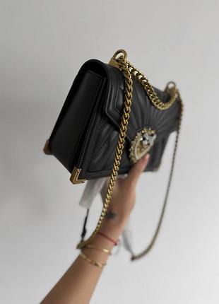 Dolce &amp; gabbana premium 10