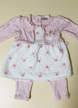 Костюм комплект платье и лосины платья лосины платья платья лосины набор с зайчиками