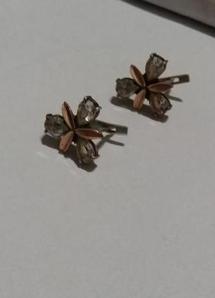 Срібні сережки з позолотою