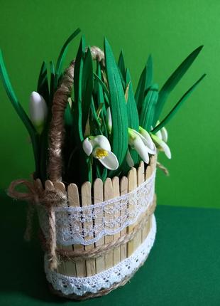 Кошички первоцвітів.