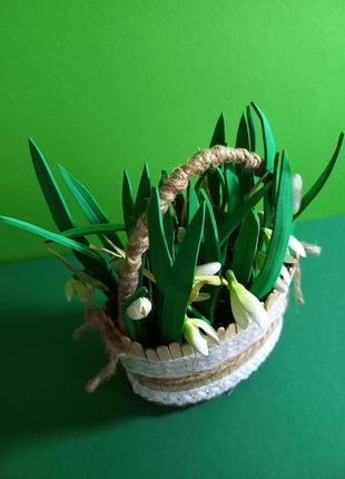 Кошички первоцвітів.