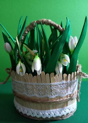Кошички первоцвітів.