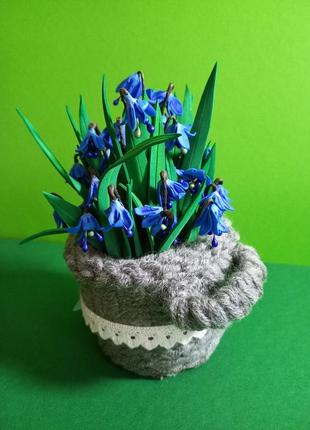 Кошички первоцвітів.