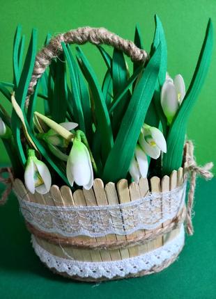 Кошички первоцвітів.