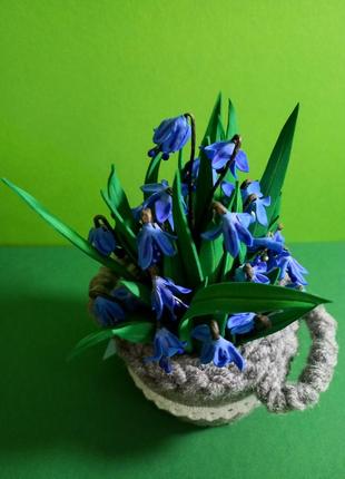 Кошички первоцвітів.