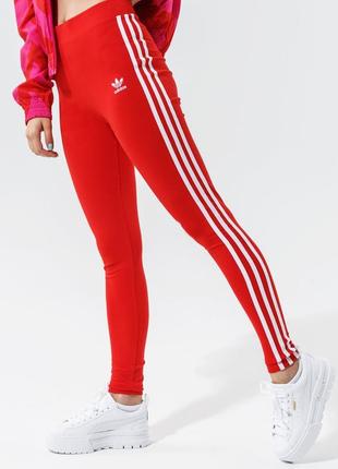 Женские оригинальные спортивные коттоновые лосины adidas1 фото