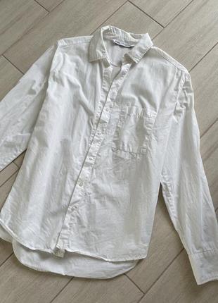 Красивая белая блуза gloria jeans с рукавами в рюшек10 фото