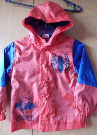 Куртка вітровка спайдермен з капюшоном1 фото