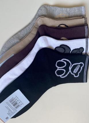 Набір шкарпеток з ведмедиком bight (5 пар)3 фото