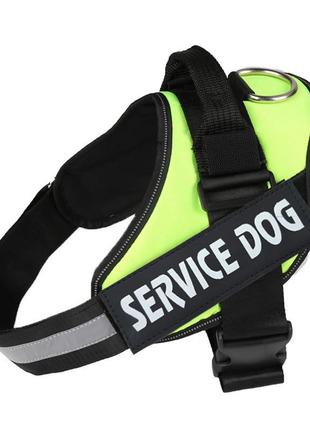 Шлея для котів посилена pet style "service dog" зелена