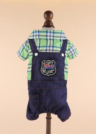 Джинсовий костюм для котів pet style "клітинка" зелений