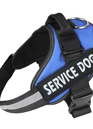 Шлея для котов и кошек усиленая pet style "service dog" синяя