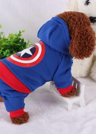 Спортивний костюм для котів pet style "капітан америка" синій