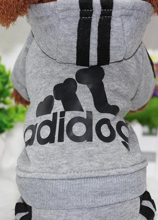 Спортивний костюм для котів pet style "adidog" сірий