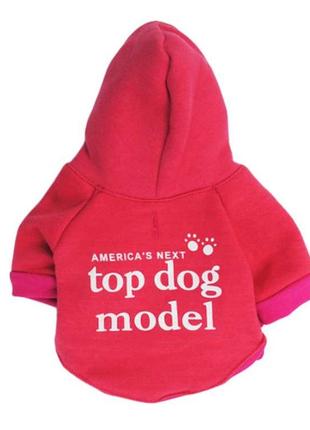 Толстовка для котов и кошек pet style "top model" красная xs