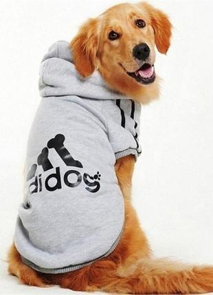 Кофта для котів pet style "adidog" сіра