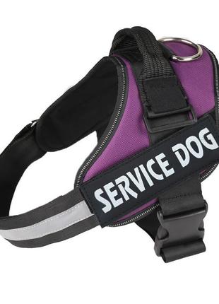 Шлея для котів посилена pet style "service dog" фіолетова