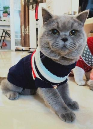 В'язаний акриловий светр для котів pet style "синя зі смугами"3 фото