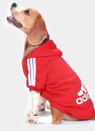 Кофта для котов и кошек pet style "adidog" красная