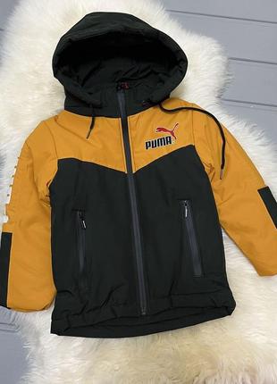 Куртка пума
