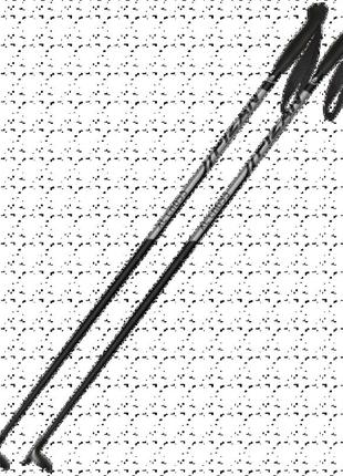 Палиці бігові fizan xc cross 1k black розмір 145