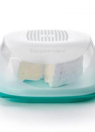 Розумна сирниця "крихітка" tupperware (тапервер) ✅✅✅