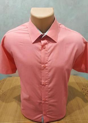 Отличная классическая качественная рубашка с коротким рукавом бренда gama