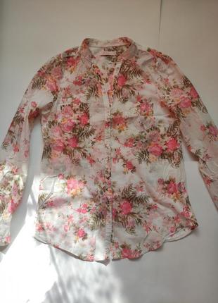 Ніжна красива сорочка ,блузка з довгими рукавами colin's3 фото