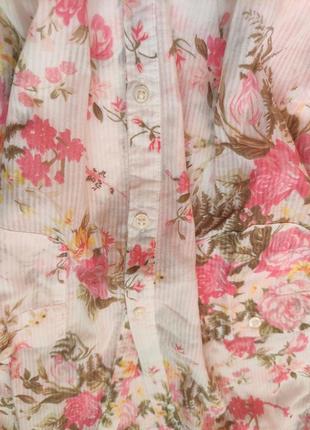 Ніжна красива сорочка ,блузка з довгими рукавами colin's7 фото