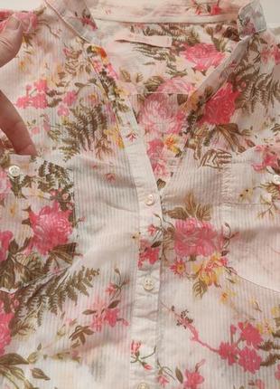 Ніжна красива сорочка ,блузка з довгими рукавами colin's8 фото