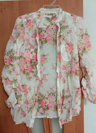Ніжна красива сорочка ,блузка з довгими рукавами colin's10 фото