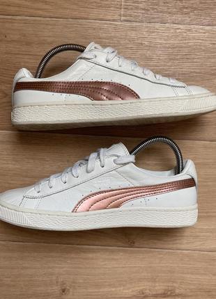 Кроссовки puma basket classic