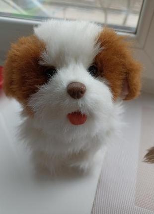 Цуценя fur real.