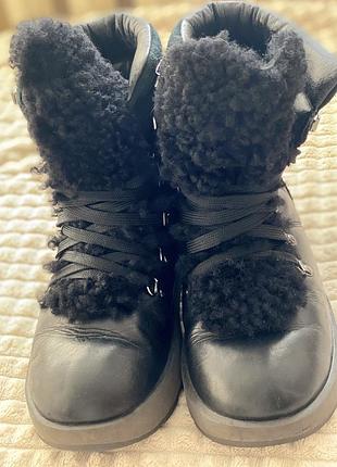 Ugg оригінал