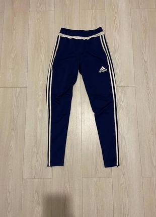 Штаны adidas1 фото