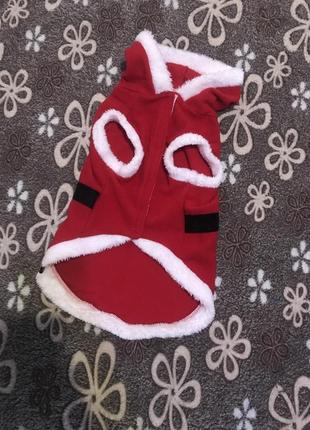 Костюмчик для песика  45р