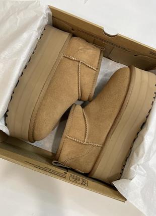 Замшевые угги на платформе ugg classic platform в наличии1 фото