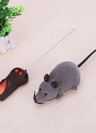 Мишка на радіокеровані