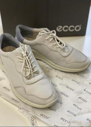 Ecco 39 р