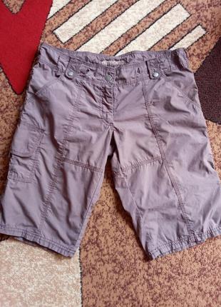 Брендові жіночі бриджі evie.