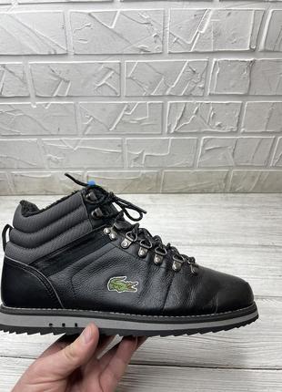 Ботинки зимние  lacoste  утеплённые diesel, clark, timberland polo zara gucci