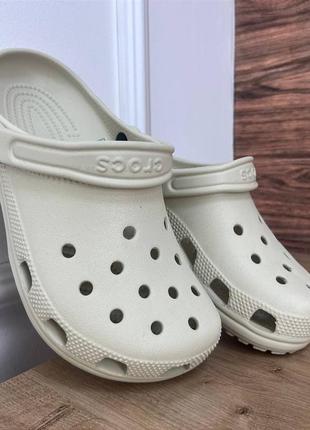 Кроксы сабо crocs classic clog bone беж все размеры в наличии1 фото