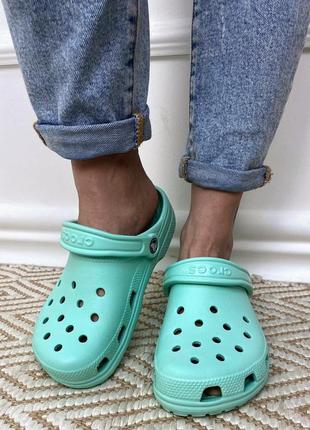 Женские кроксы сабо crocs classic mint все размеры в наличии1 фото